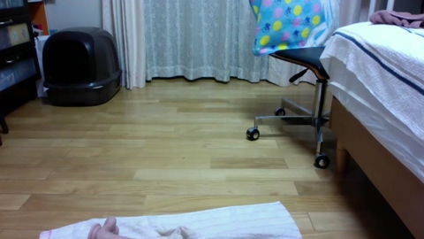 takahisa  31-08-2022 Recorded Video love