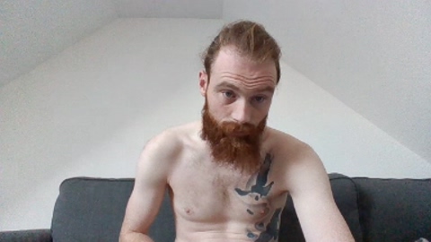 GingerStute