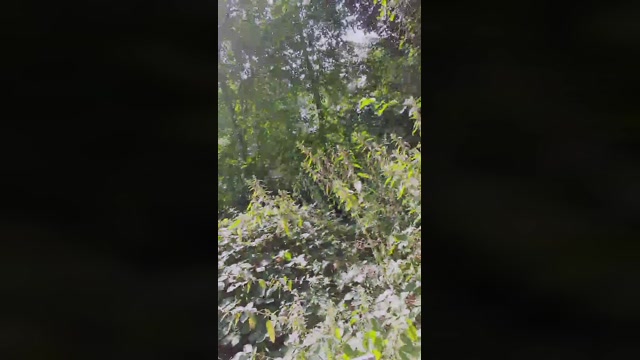 SlutboyBen  02-09-2022 Recorded Video Recorded