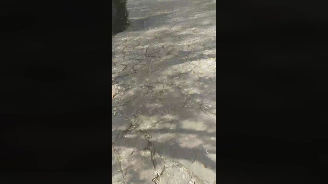 despacitofonsi  03-09-2022 Recorded Video sexyfeet