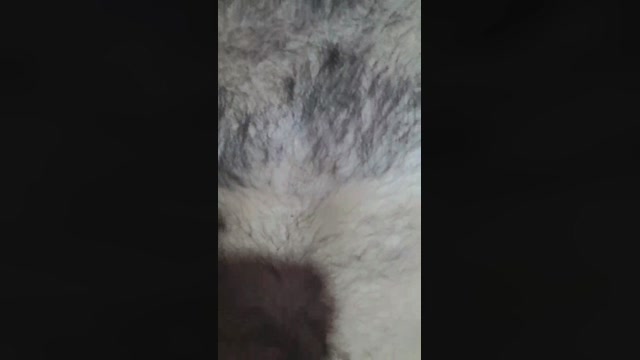 jeunemale5_sexy  03-09-2022 Recorded Video fuck