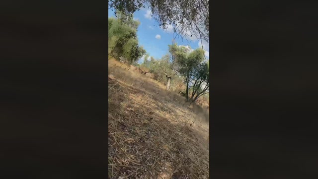 danicloud1  04-09-2022 Recorded Video handsome