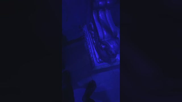 Culo_Fist  06-09-2022 Recorded Video Pretty