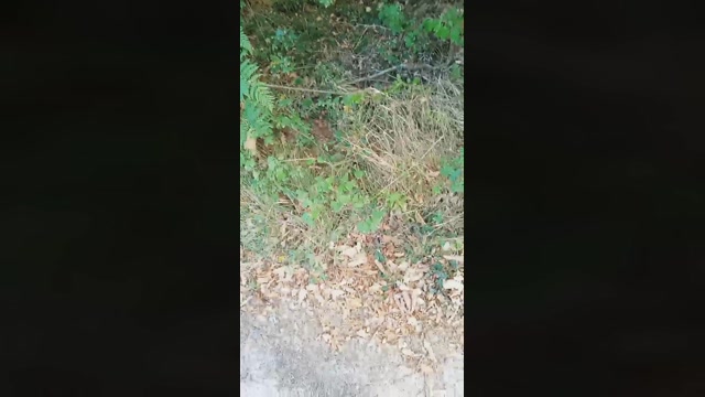 Public___  06-09-2022 Recorded Video Download