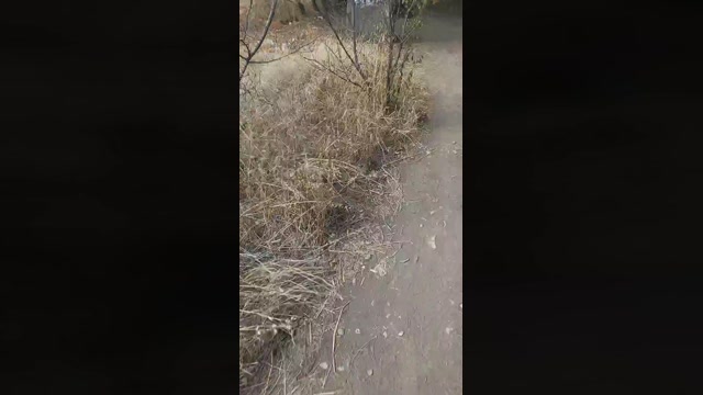 david5127  06-09-2022 Recorded Video play
