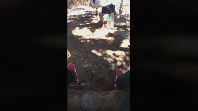 kinkis_amos  06-09-2022 Recorded Video bigtoys