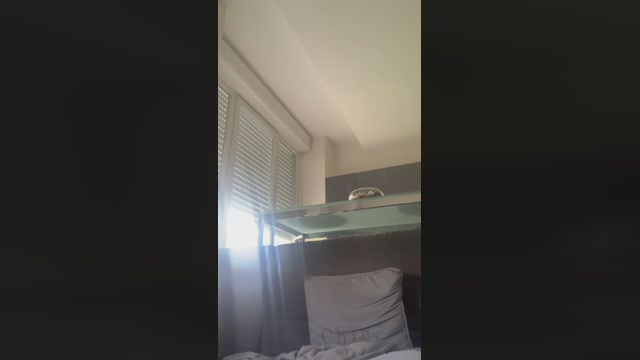 ElTotorino  08-09-2022 Recorded Video orgasm