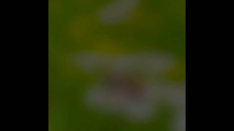 selfsucker89  08-09-2022 video jackoff