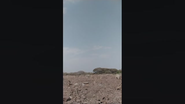 Elpeladoxxx2  08-09-2022 Recorded Video Video
