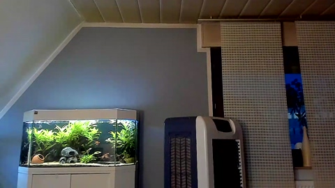ronhill13  08-09-2022 Recorded Video big