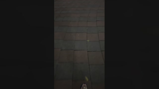 zzhhii7916  08-09-2022 Recorded Video cute