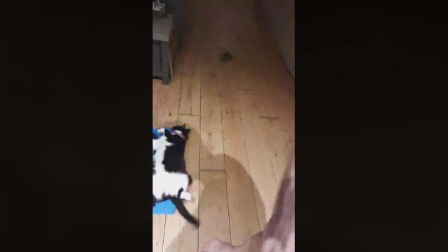 Kev4336  09-09-2022 Recorded Video big