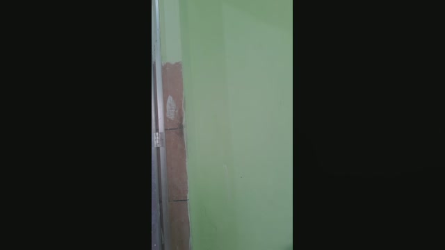 Lolasafadinha