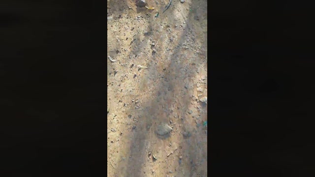 capixaba_xxx  10-09-2022 Recorded Video lush