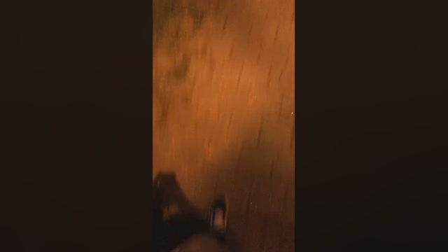 ShibaInu_k  11-09-2022 Recorded Video analtoy