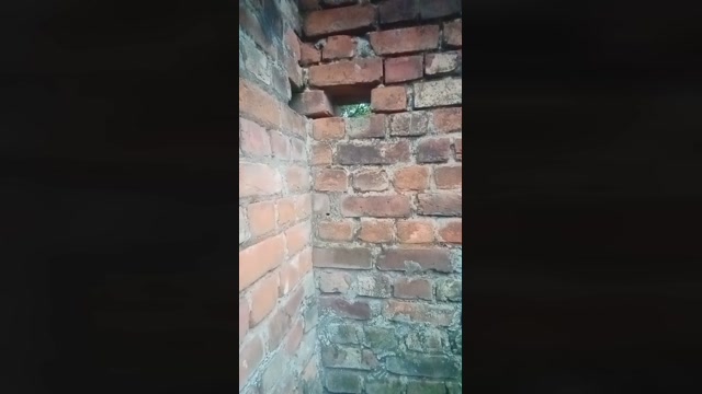 chiranjitho1  11-09-2022 Recorded Video orgasm