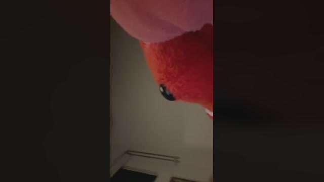 sophiaarcandes2