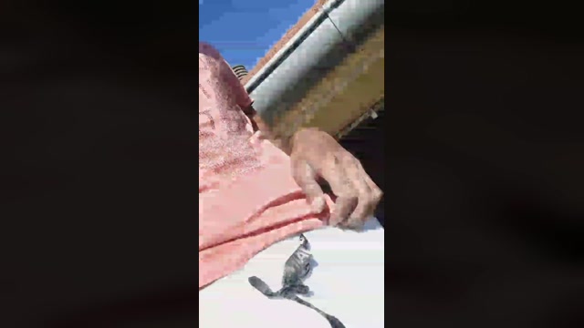 Vitriole  12-09-2022 Recorded Video sexykitty