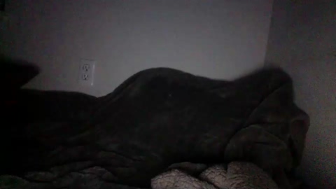 jak113cumseeme  12-09-2022 video bigtoys