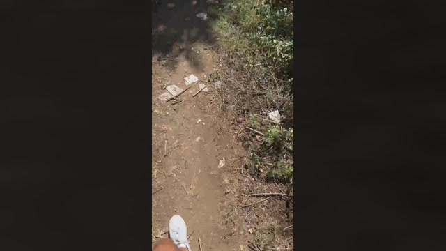 pellinkio  12-09-2022 Recorded Video bigcock