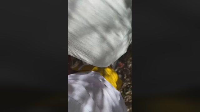 pellinkio  12-09-2022 Recorded Video bigdick