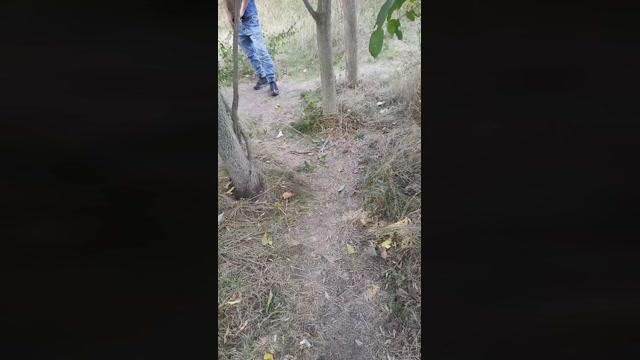 Mirko035  13-09-2022 Recorded Video amateur