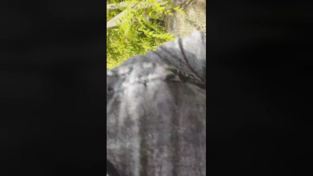 Mirko035  13-09-2022 Recorded Video Ass