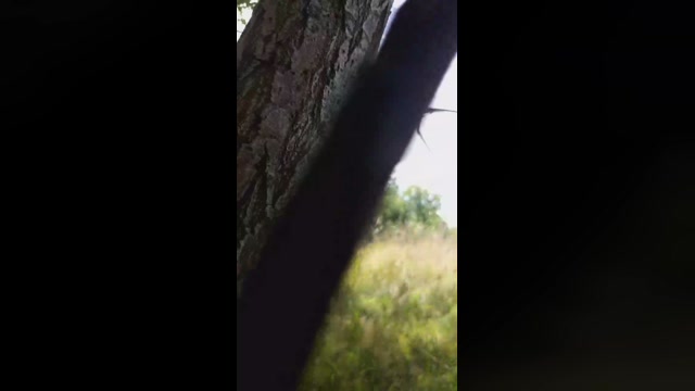 elblover  13-09-2022 Recorded Video lovense