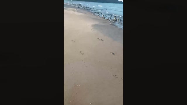 marcoroma57  13-09-2022 Recorded Video Topless