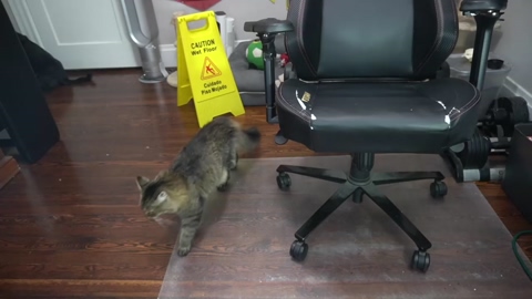 sydaffect  13-09-2022 video fingers