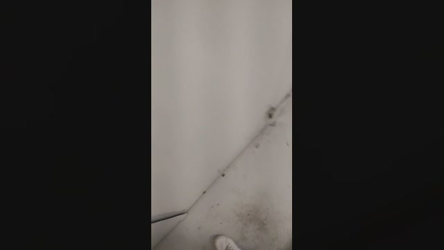 Novinho19vige  15-09-2022 Recorded Video skinny