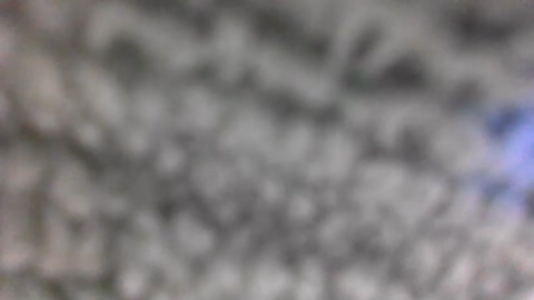 gus_1877  15-09-2022 video play