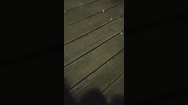 isaacwufun  14-09-2022 Recorded Video ass