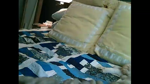 bitsinbuffalo  16-09-2022 video bigballs