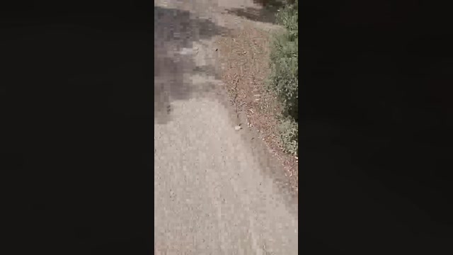 Gastea1  17-09-2022 Recorded Video bigcock
