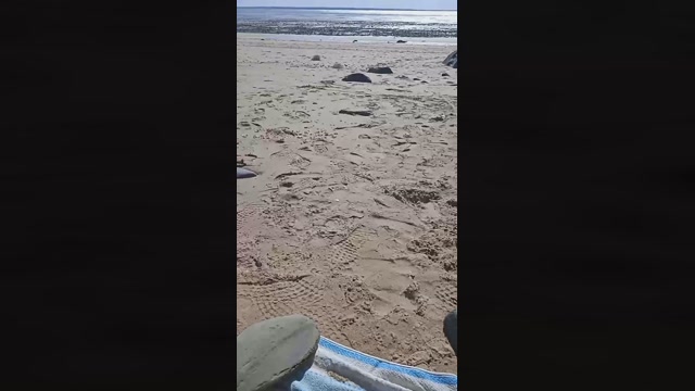 eric293_xxx  17-09-2022 Recorded Video bigcock