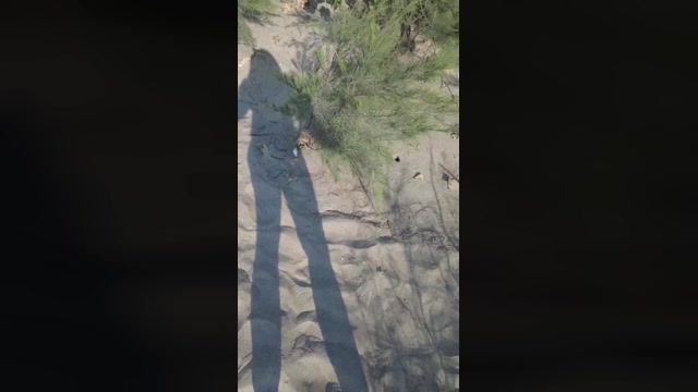 tarcton78  17-09-2022 Recorded Video ass