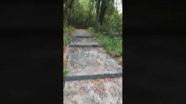 verecinadohk