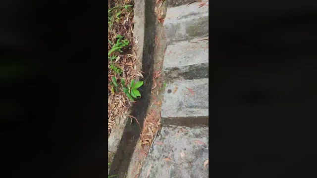 verecinadohk  17-09-2022 Recorded Video XXX