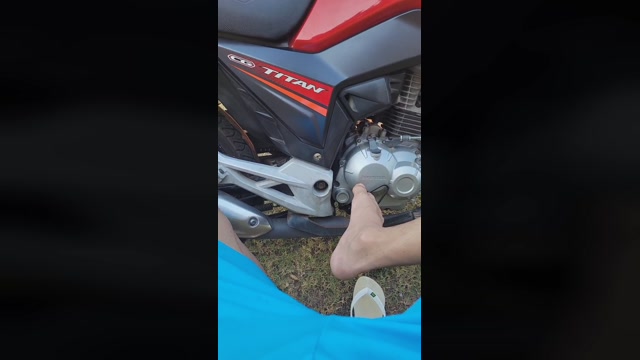 luppi1  17-09-2022 Recorded Video toy