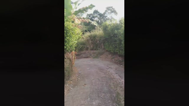 stevmare  17-09-2022 Recorded Video fingers