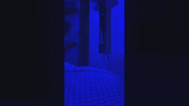 Culo_Fist  19-09-2022 Recorded Video bigcock