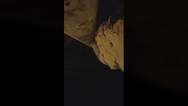 tresovo1  19-09-2022 Recorded Video hot