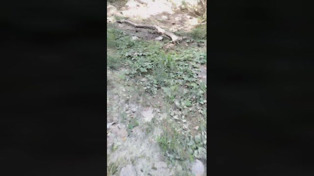 ermejo_sexy  20-09-2022 Recorded Video lush