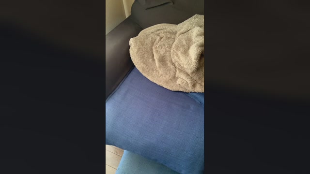 sikorer  20-09-2022 Recorded Video jerkoff