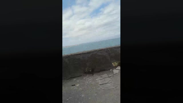 ILDIRETTOREX  21-09-2022 Recorded Video bigass