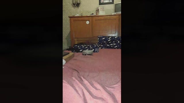 Leigonzalez00 21-09-2022 Porn 