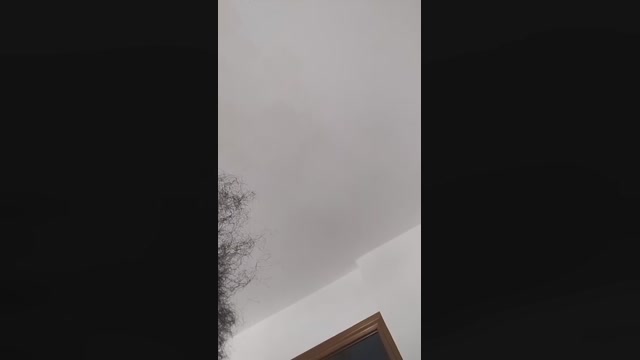 rdnegroo  21-09-2022 Recorded Video love