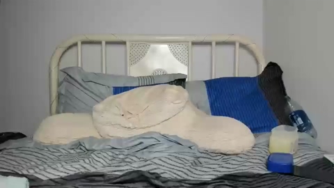 willyt98  20-09-2022 video striptease