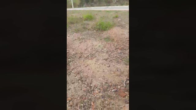 Synbaherrera  21-09-2022 Recorded Video yummy